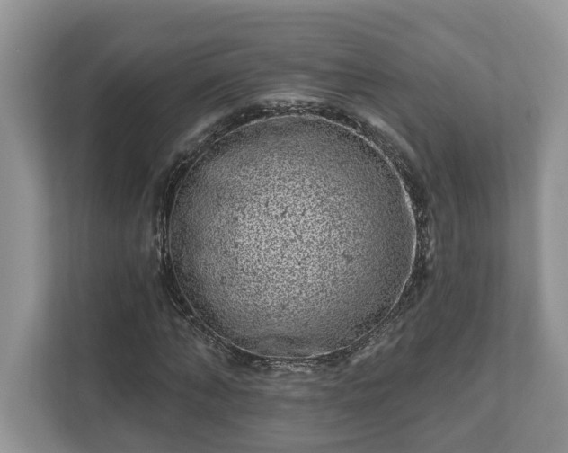 X0000111870870200907301114