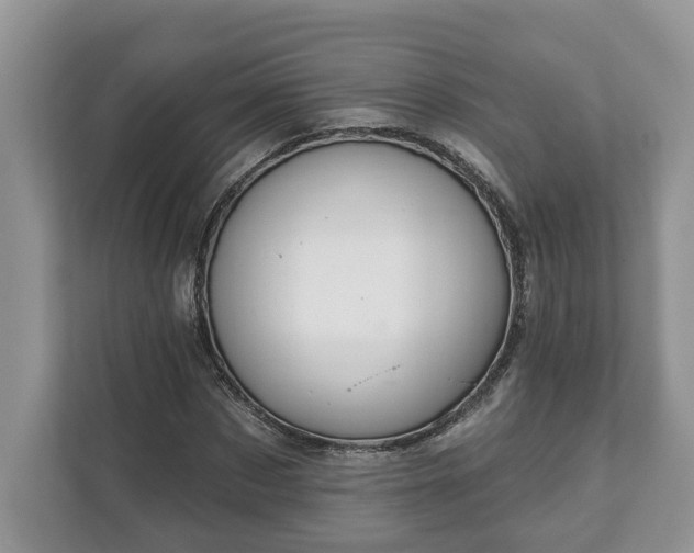 X0000111870873200907301114