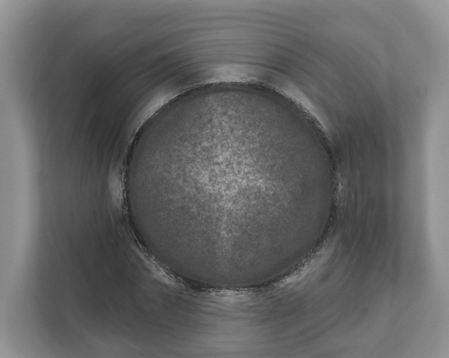 X0000111870874200907301114