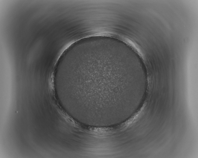 X0000111870875200907301114