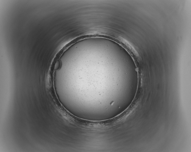 X0000111870876200907301114