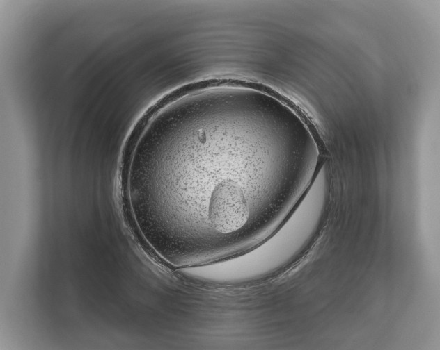 X0000111870880200907301114