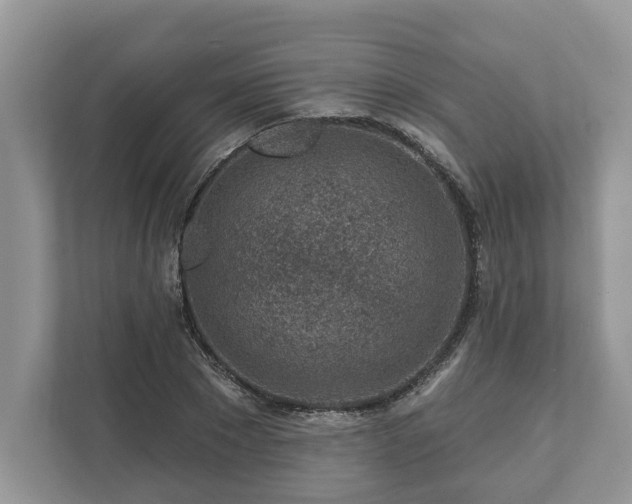 X0000111870881200907301114