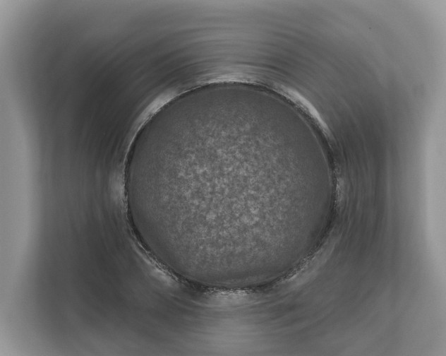 X0000111870882200907301114