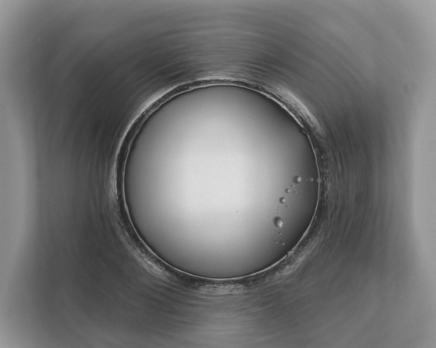 X0000111870884200907301114