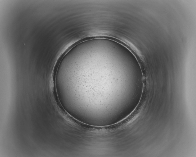 X0000111870885200907301114