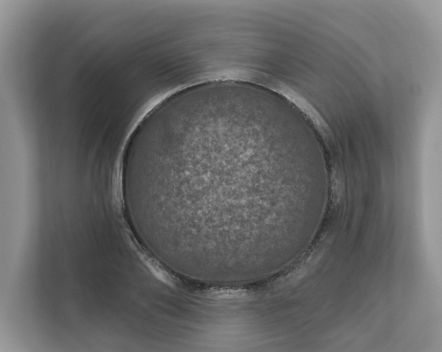 X0000111870886200907301114