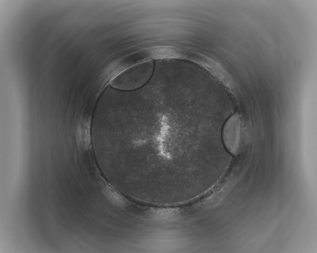 X0000111870889200907301114