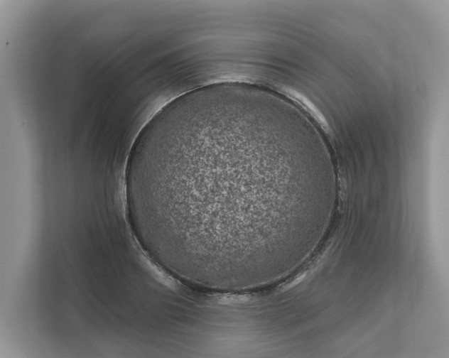 X0000111870890200907301114