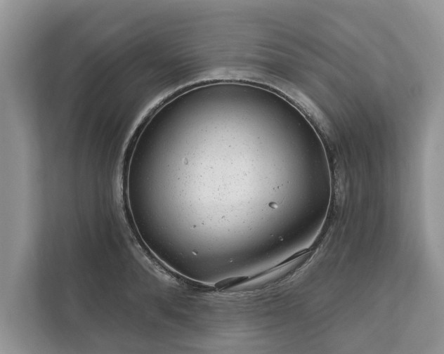 X0000111870896200907301114