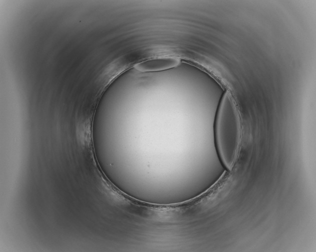 X0000111870897200907301114