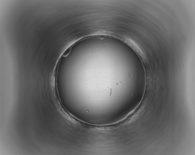 X0000111870900200907301114