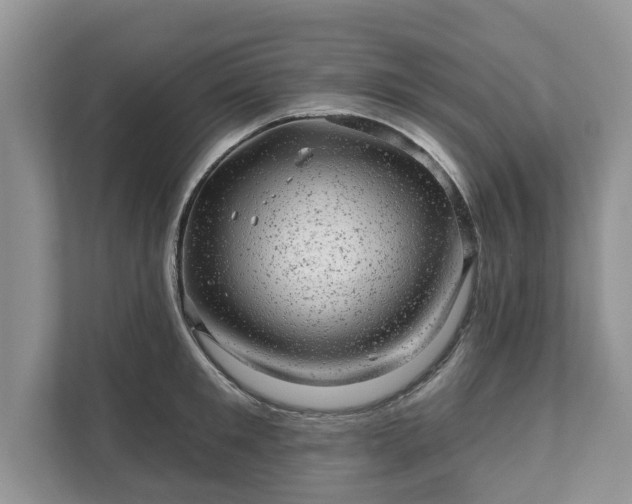 X0000111870901200907301114