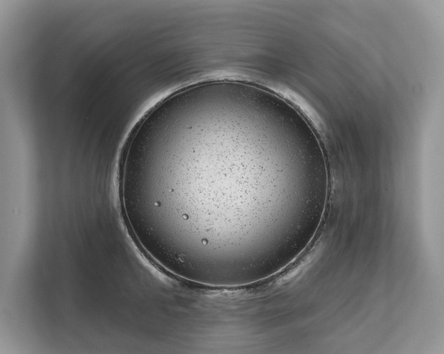 X0000111870902200907301114