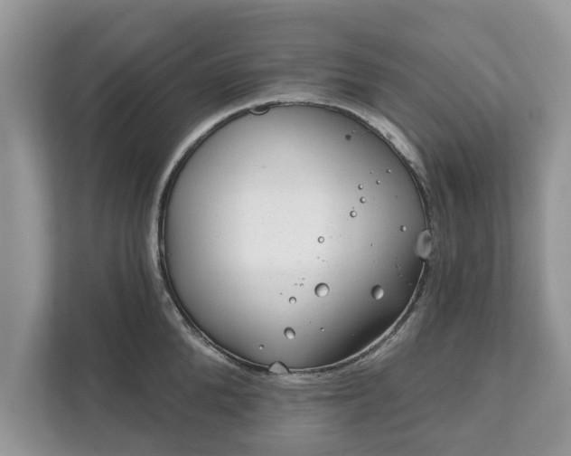 X0000111870904200907301114