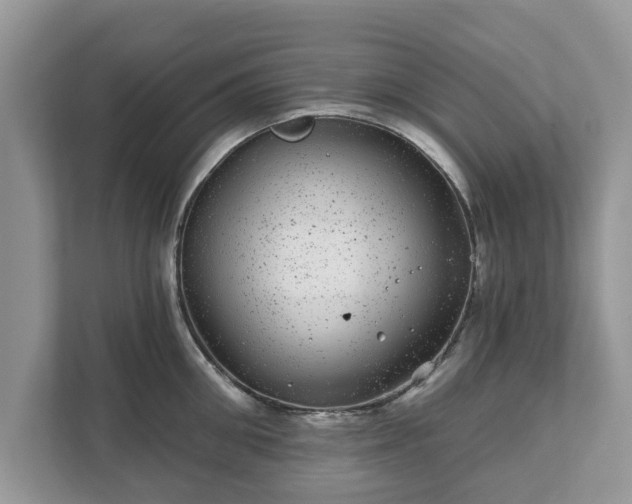 X0000111870906200907301114