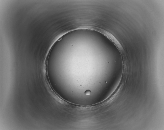 X0000111870908200907301114