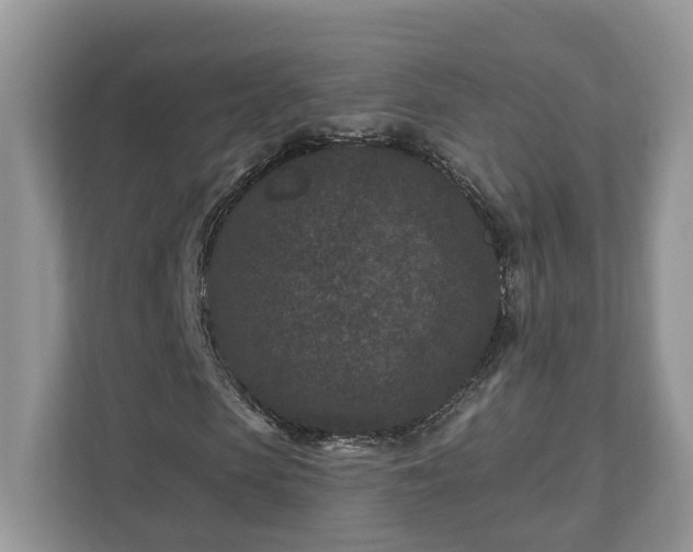 X0000111870913200907301113