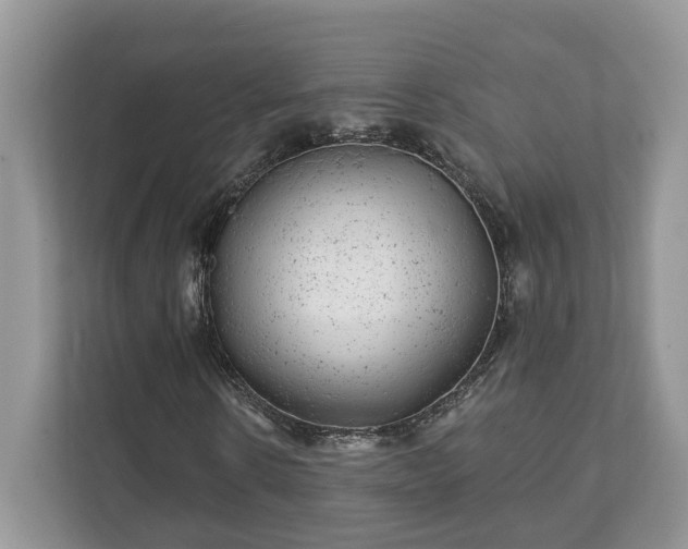 X0000111870914200907301113