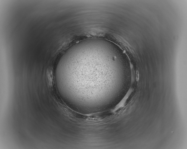 X0000111870915200907301113