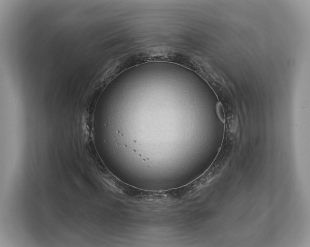 X0000111870916200907301113