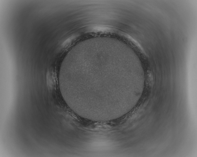 X0000111870918200907301113