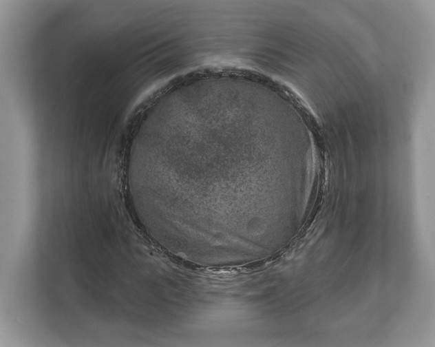 X0000111870919200907301113