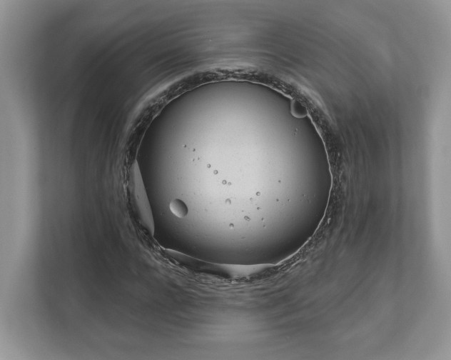 X0000111870920200907301113