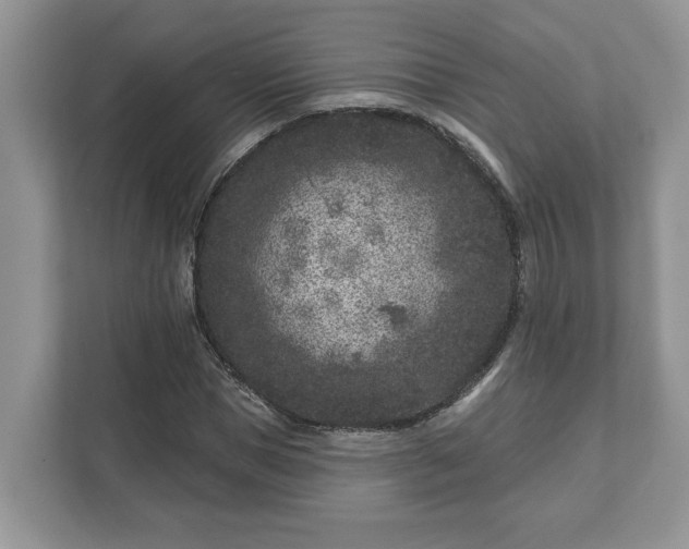 X0000111870921200907301113