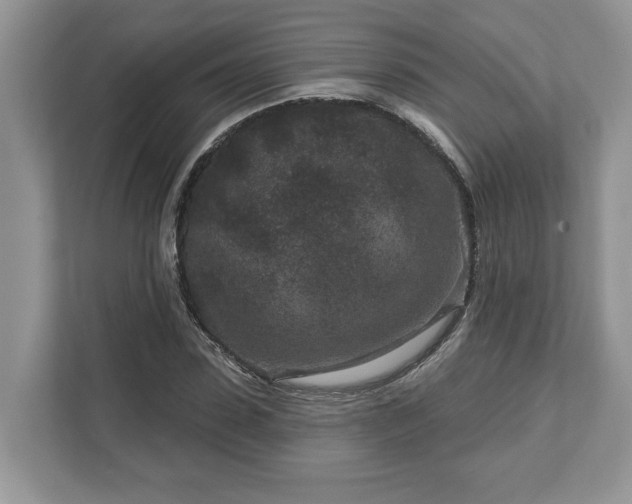 X0000111870923200907301113