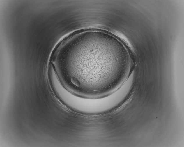 X0000111870924200907301113