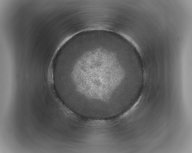 X0000111870925200907301113