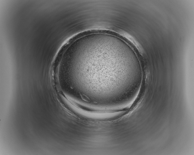 X0000111870926200907301113