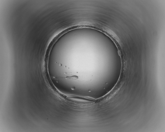 X0000111870928200907301113