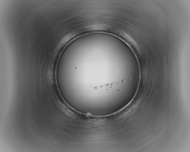 X0000111870930200907301113