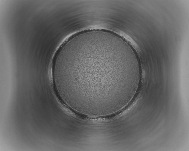 X0000111870934200907301113