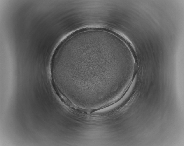 X0000111870935200907301113