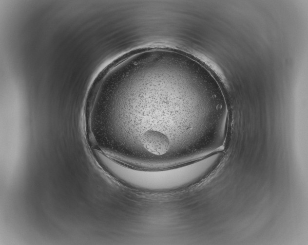 X0000111870936200907301113