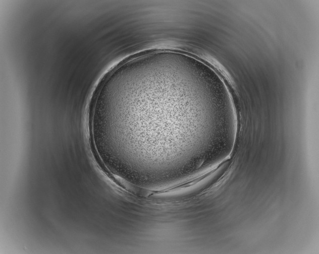 X0000111870939200907301113