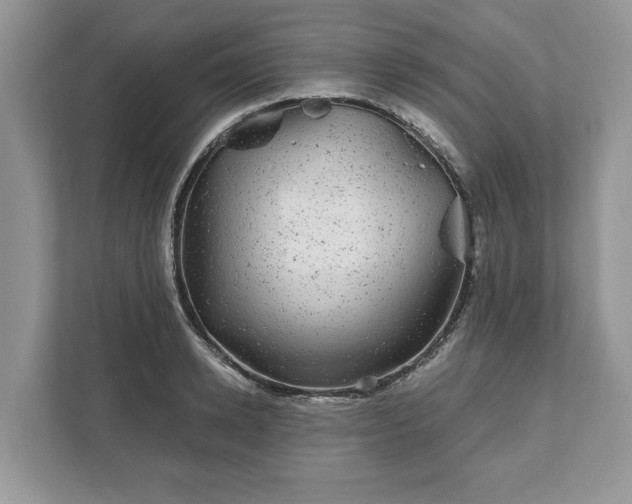 X0000111870942200907301113