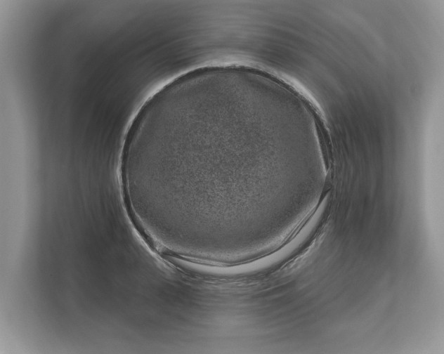 X0000111870943200907301113