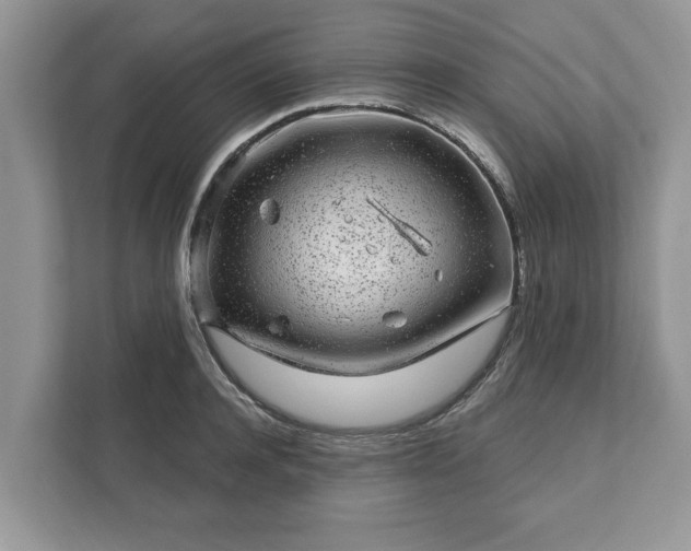 X0000111870944200907301113