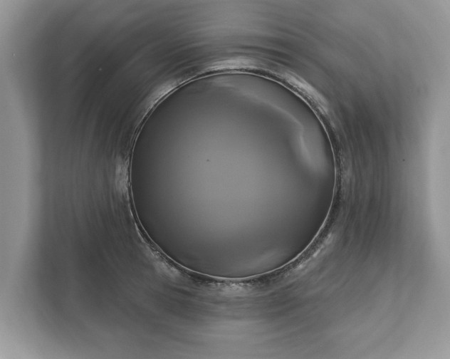 X0000111870945200907301113