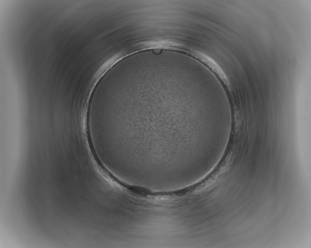 X0000111870946200907301113