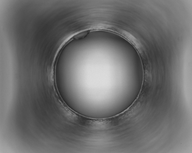 X0000111870948200907301113