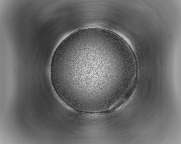 X0000111870949200907301113