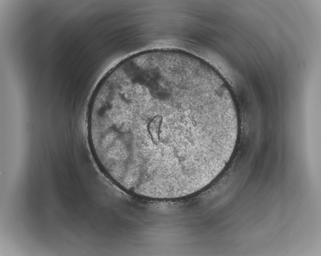 X0000111870950200907301113