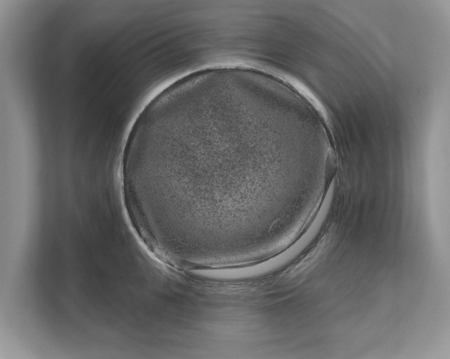 X0000111870951200907301113