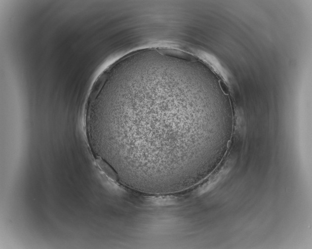 X0000111870952200907301113