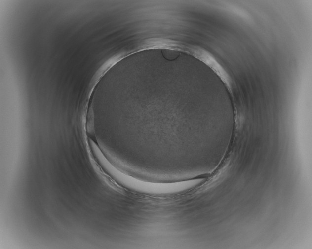 X0000111870954200907301114